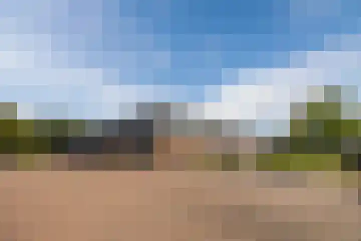 De Spindel 20 Steenbergen thumbnail 47
