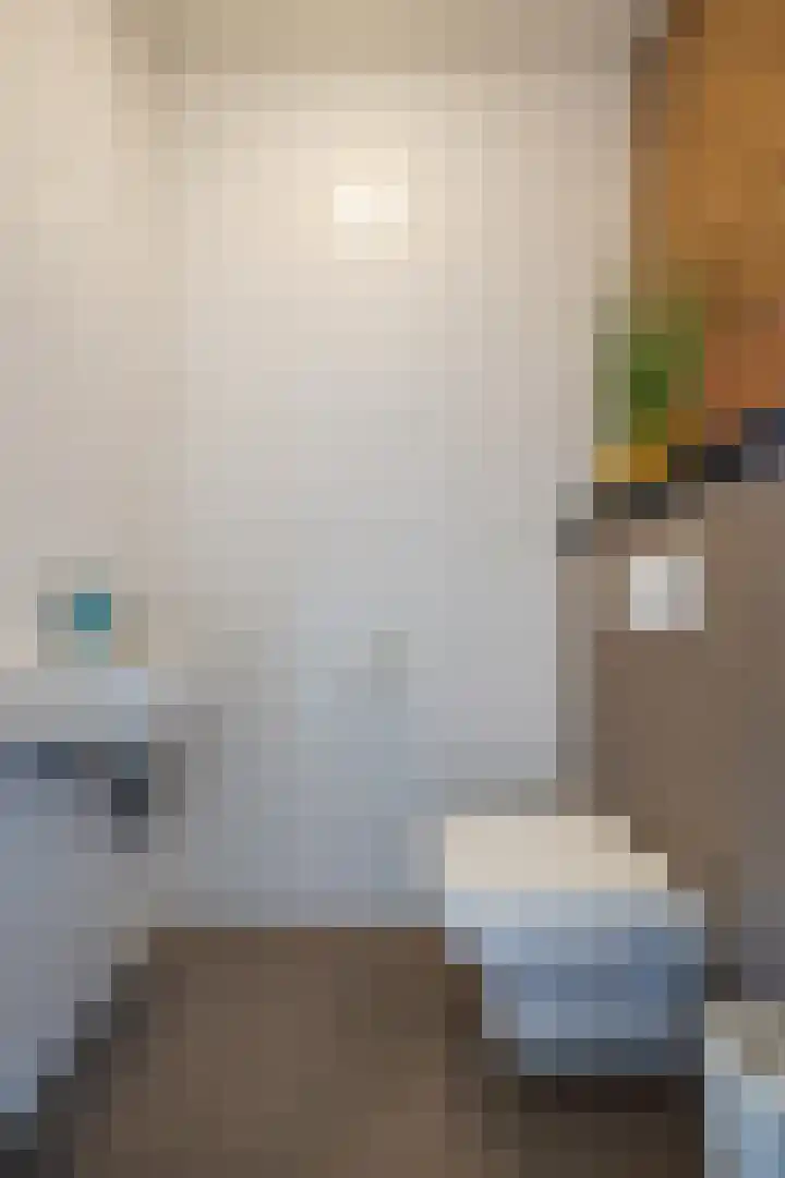 De Spindel 20 Steenbergen thumbnail 7