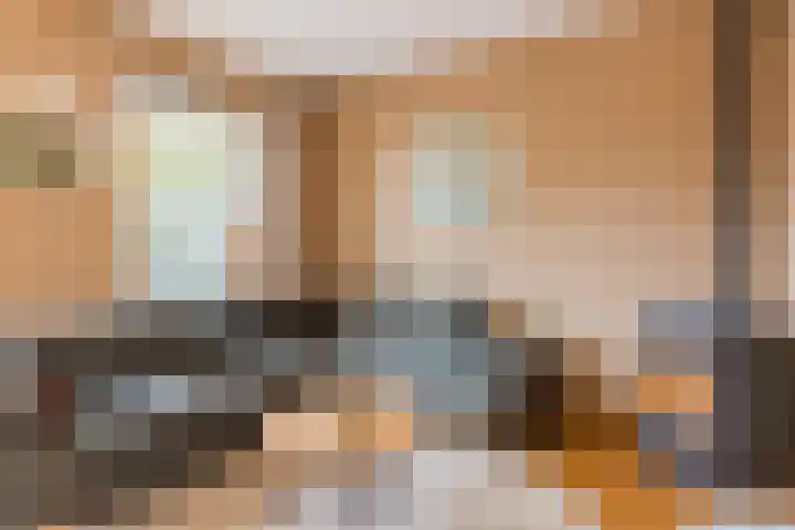 De Spindel 22 Steenbergen thumbnail 12