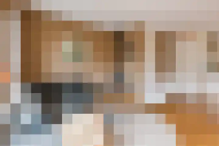 De Spindel 22 Steenbergen thumbnail 14