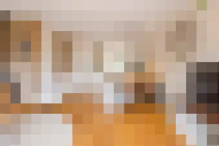 De Spindel 22 Steenbergen thumbnail 16