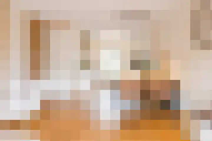 De Spindel 22 Steenbergen thumbnail 17