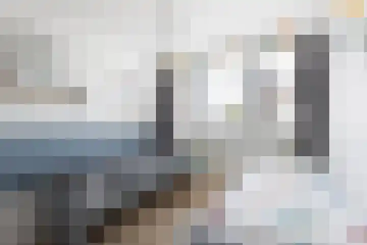 De Spindel 22 Steenbergen thumbnail 18