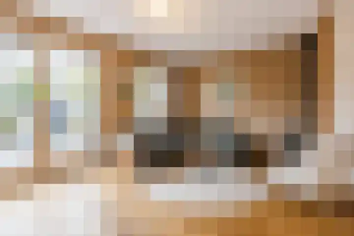 De Spindel 22 Steenbergen foto 2