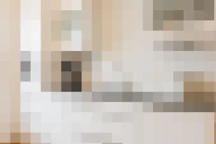 De Spindel 22 Steenbergen thumbnail 22