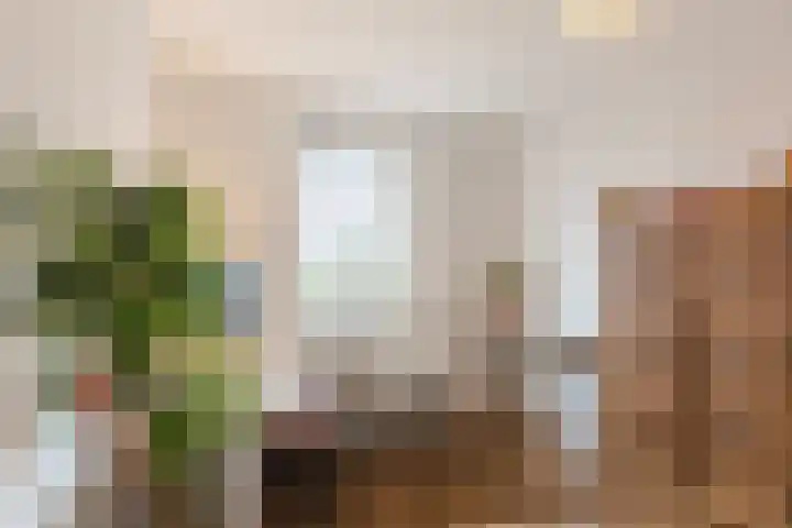 De Spindel 22 Steenbergen thumbnail 28
