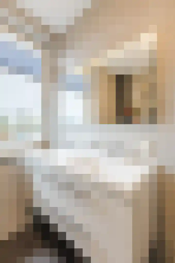 De Spindel 22 Steenbergen thumbnail 33