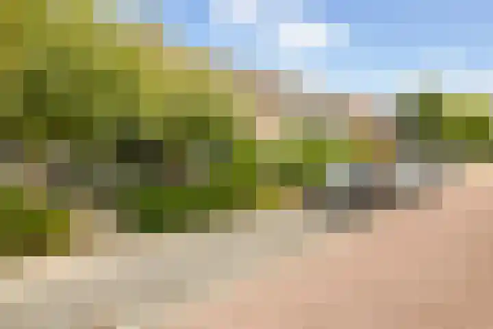 De Spindel 22 Steenbergen thumbnail 39