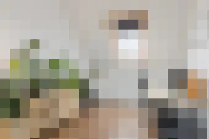 De Spindel 22 Steenbergen thumbnail 40