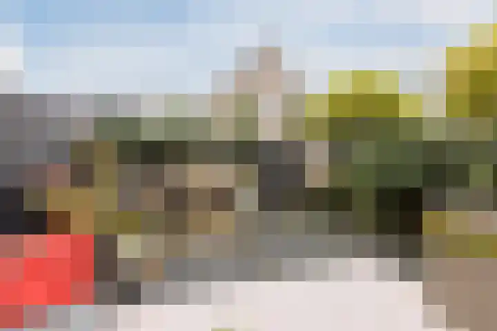 De Spindel 22 Steenbergen thumbnail 47
