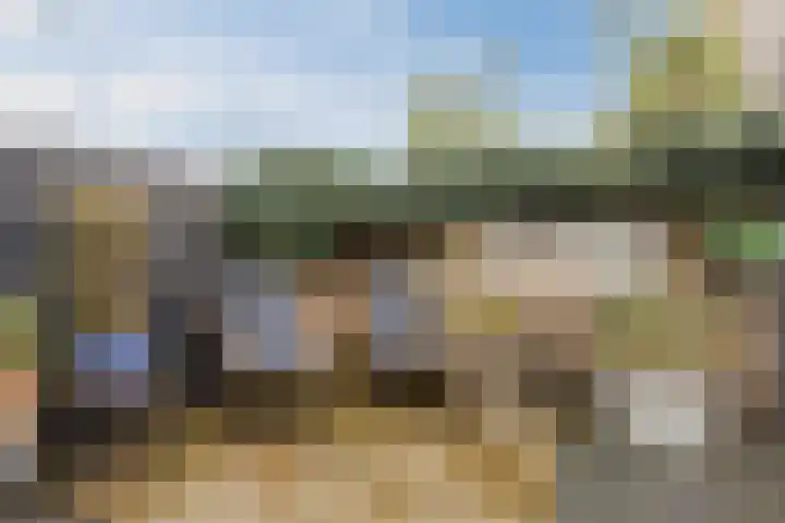 De Spindel 22 Steenbergen thumbnail 50