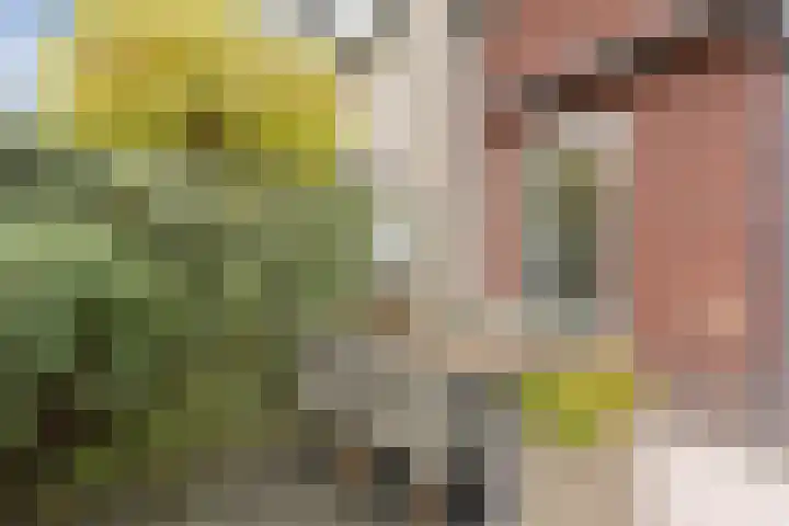 De Spindel 22 Steenbergen thumbnail 48