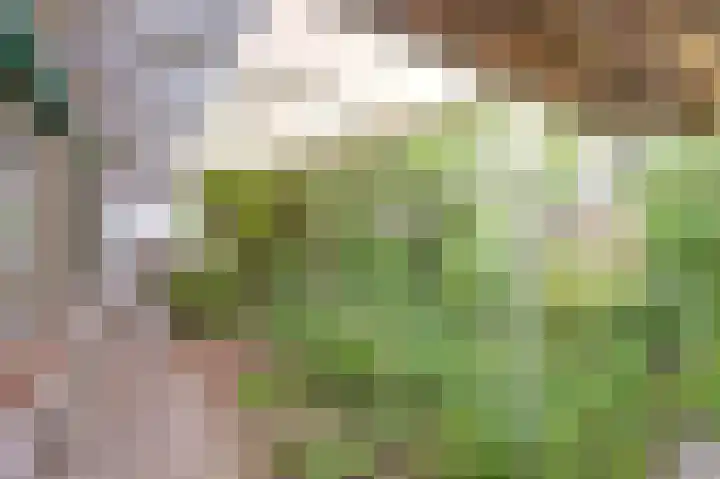 De Spindel 22 Steenbergen thumbnail 8