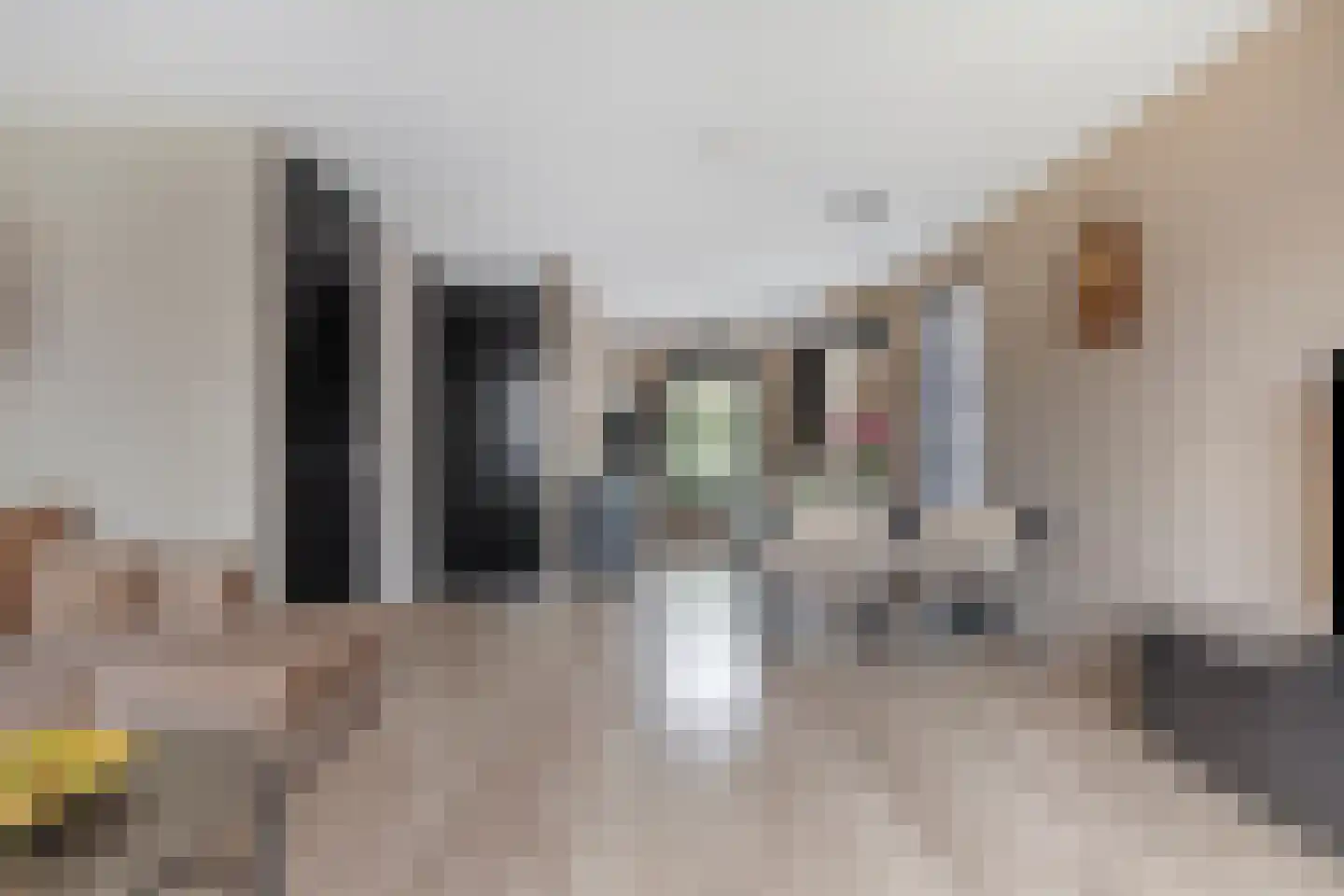 De Spindel 26 Steenbergen thumbnail 10