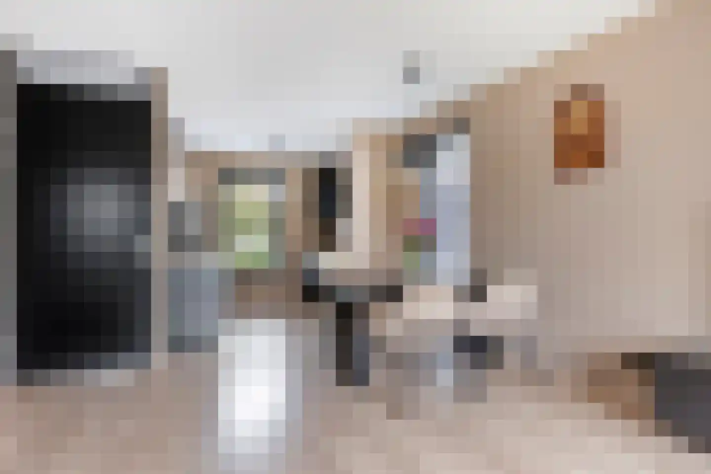 De Spindel 26 Steenbergen thumbnail 11