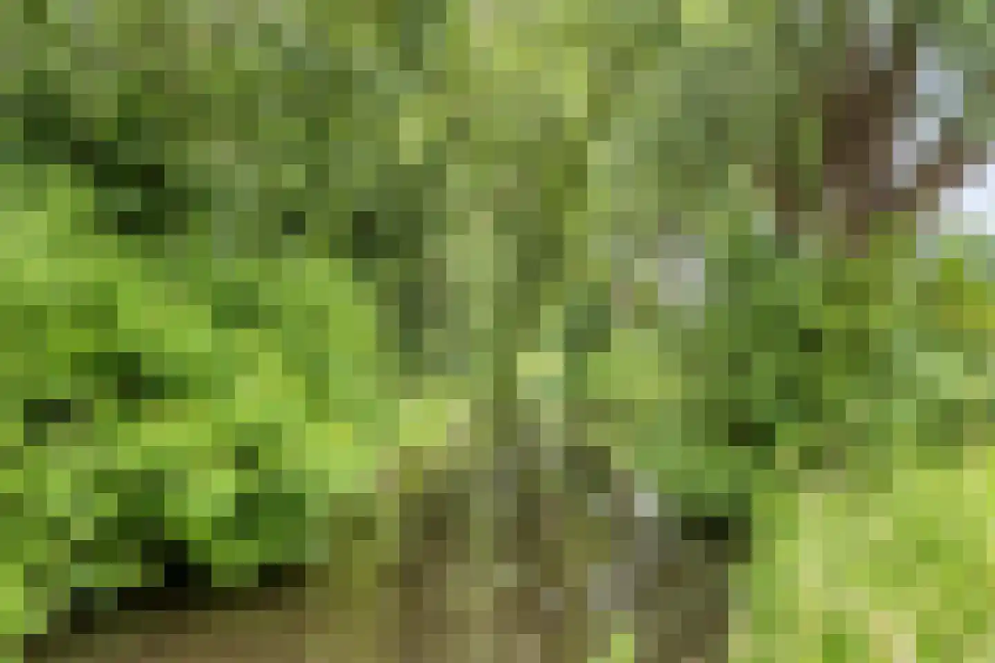 De Spindel 26 Steenbergen thumbnail 34
