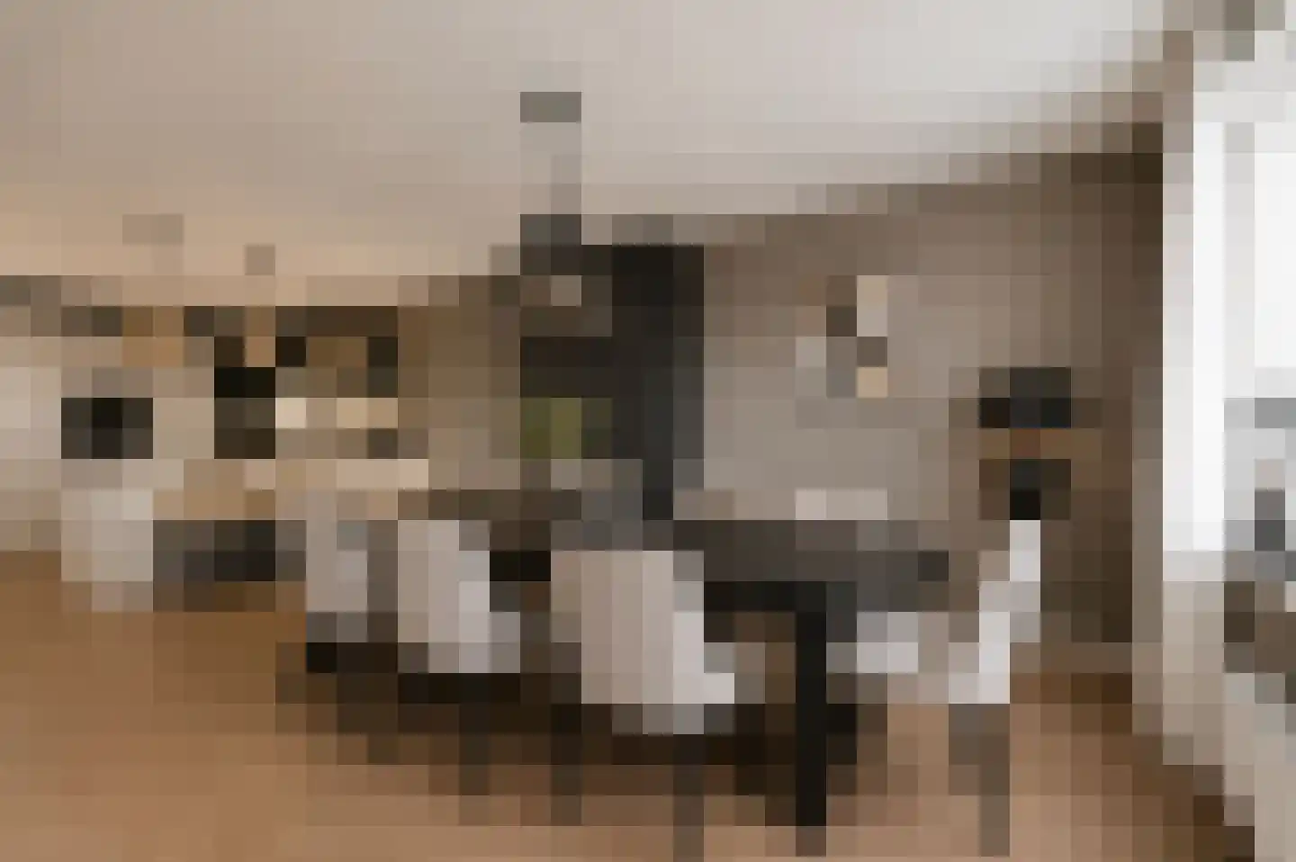De Spinne 103 Goes thumbnail 10