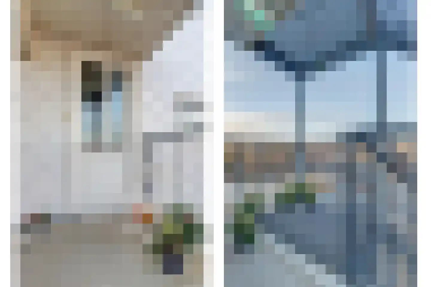 De Spinne 103 Goes thumbnail 20