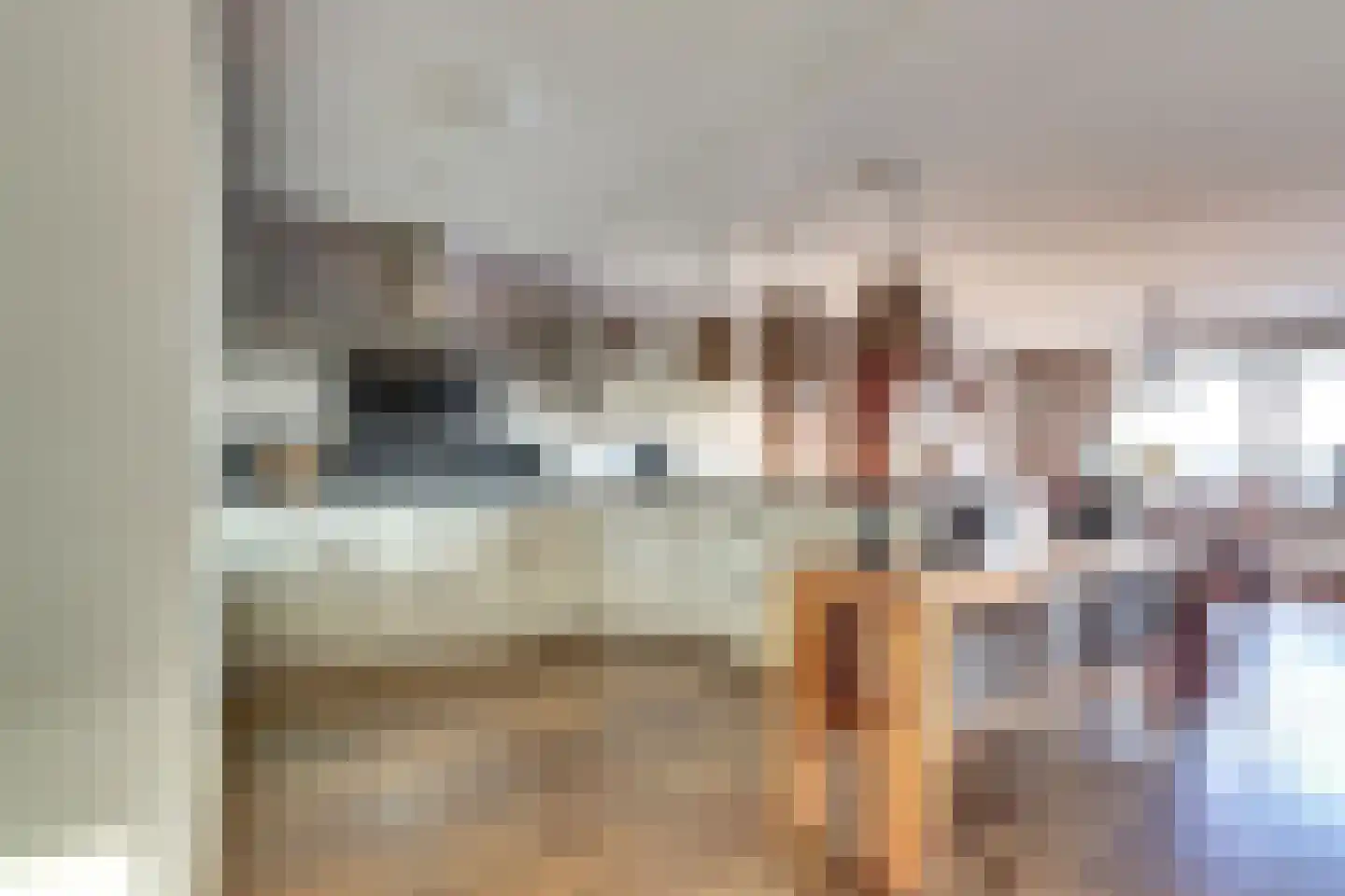 De Spinne 103 Goes thumbnail 8