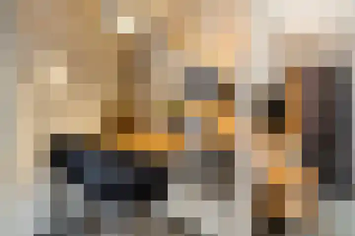 De Spinne 12 Goes thumbnail 10