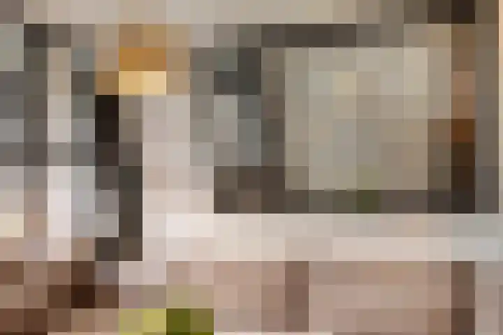 De Spinne 12 Goes thumbnail 11