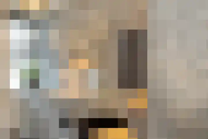 De Spinne 12 Goes thumbnail 12