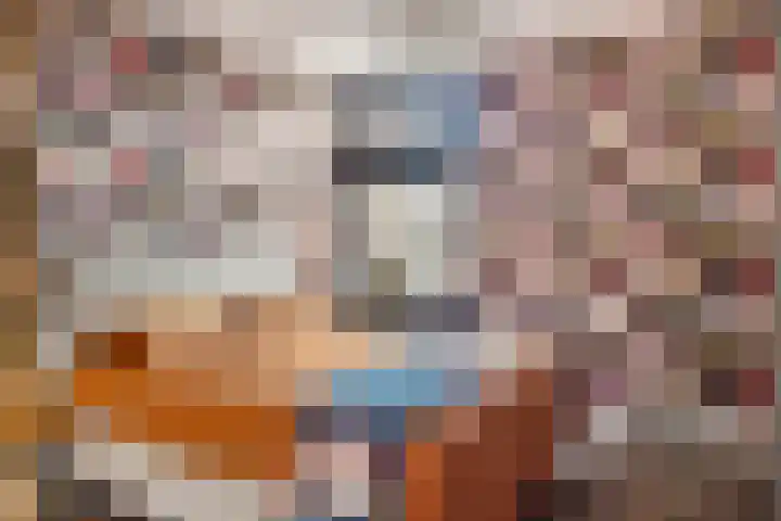De Spinne 12 Goes thumbnail 13