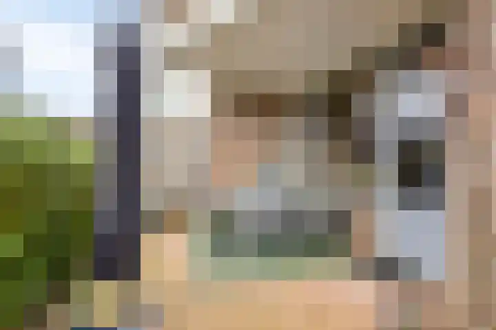 De Spinne 12 Goes thumbnail 16