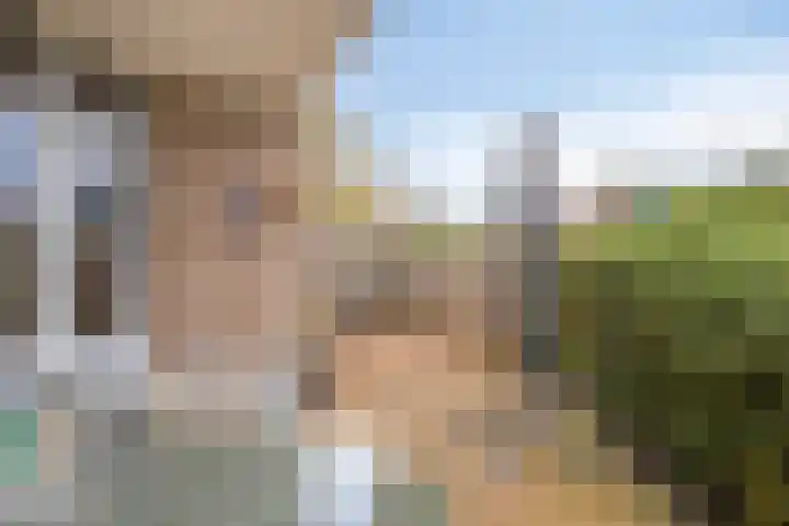 De Spinne 12 Goes thumbnail 17