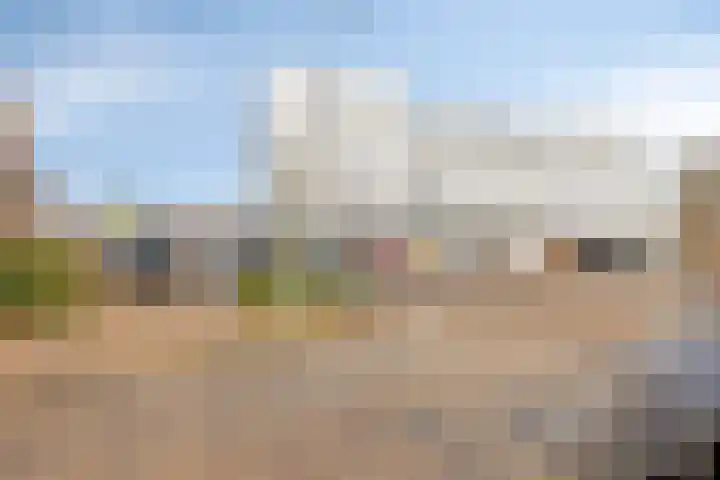 De Spinne 12 Goes thumbnail 20