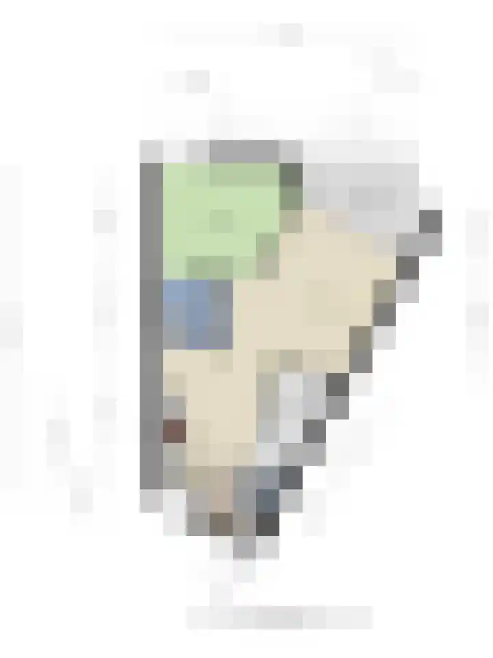De Spinne 12 Goes thumbnail 22