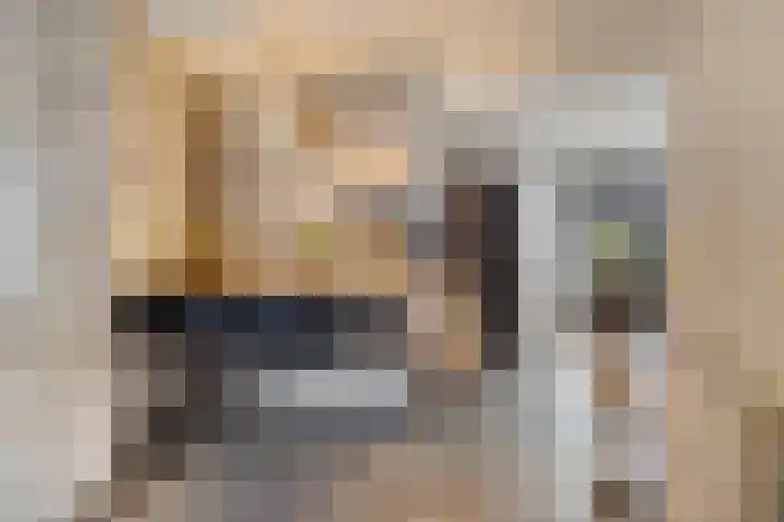 De Spinne 12 Goes thumbnail 5