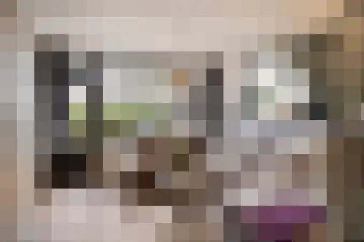 De Spinne 12 Goes thumbnail 6
