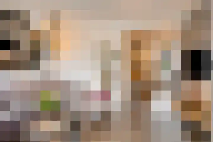 De Spinne 12 Goes thumbnail 7