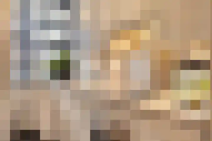 De Spinne 12 Goes thumbnail 9
