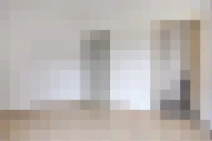 De Spinne 20 Goes thumbnail 11