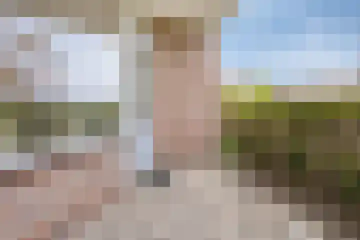 De Spinne 20 Goes thumbnail 15