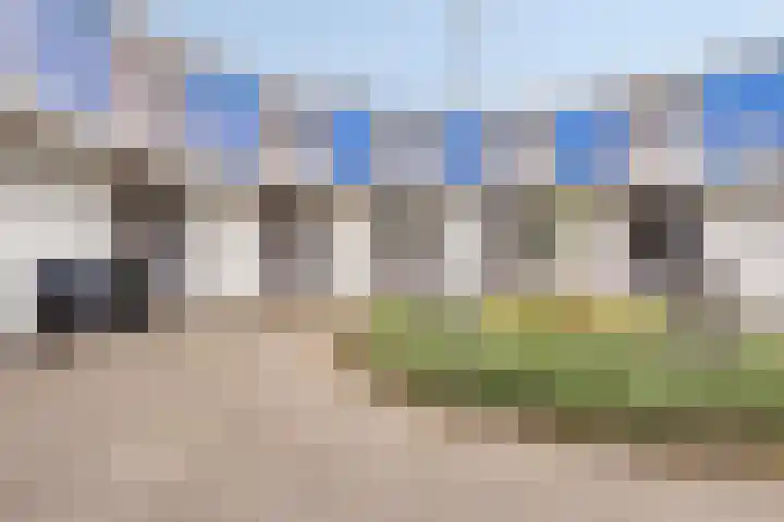 De Spinne 20 Goes foto 3