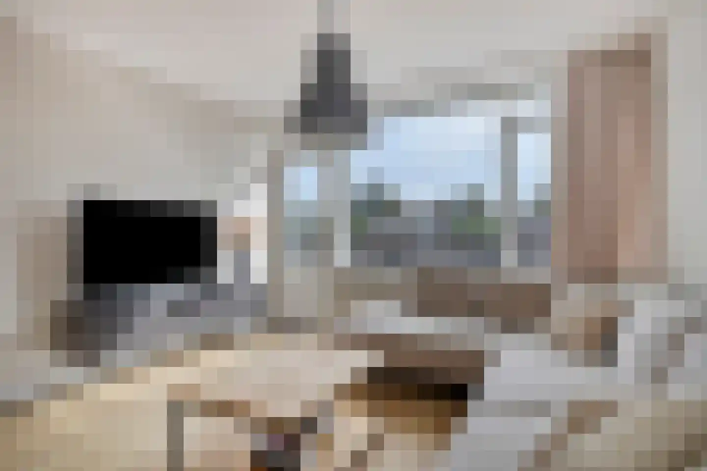 De Spinne 24 Goes thumbnail 13