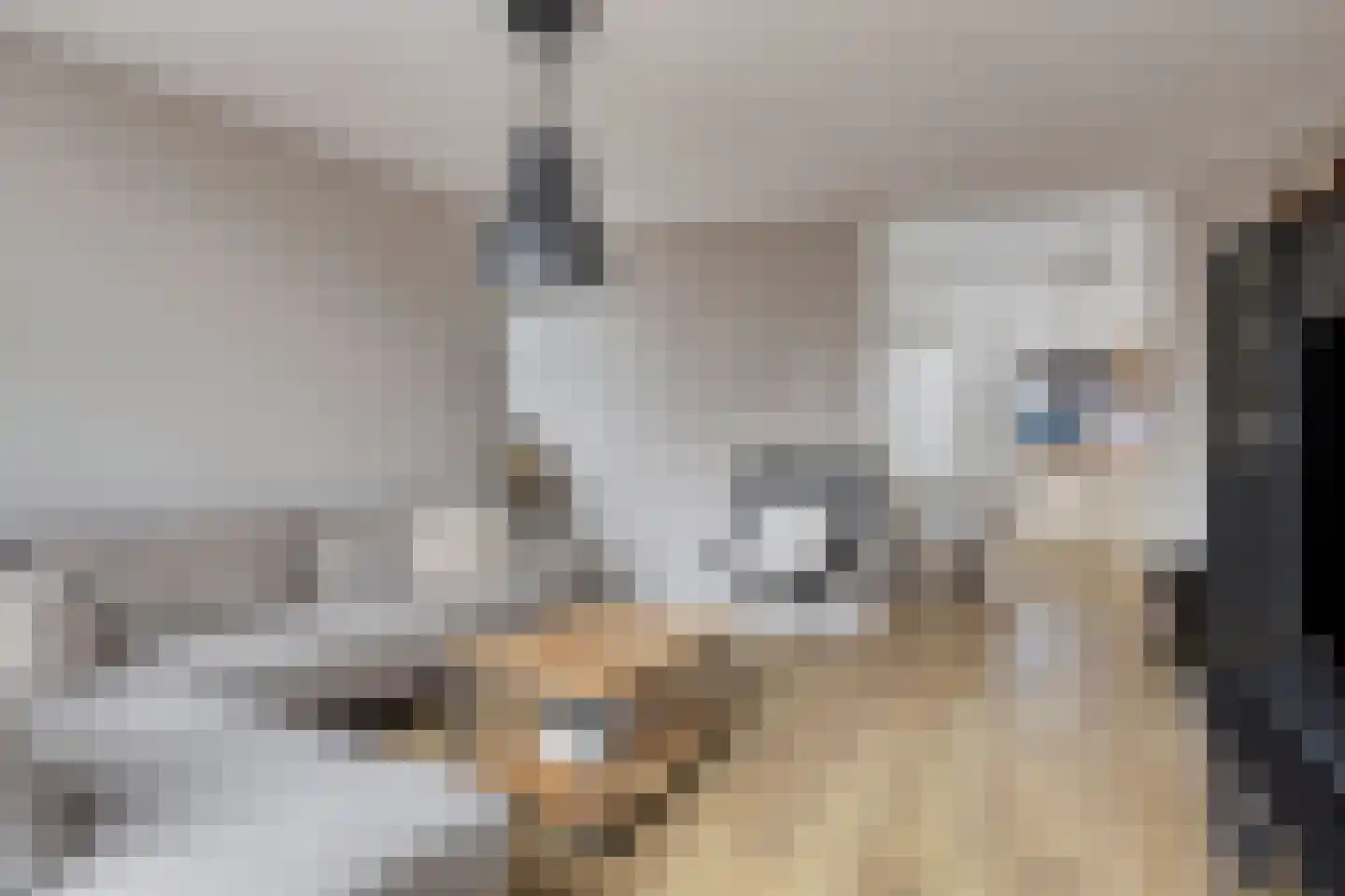 De Spinne 24 Goes thumbnail 15