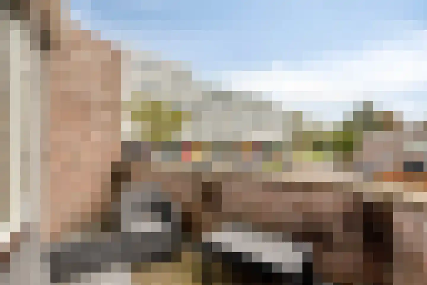 De Spinne 24 Goes thumbnail 28
