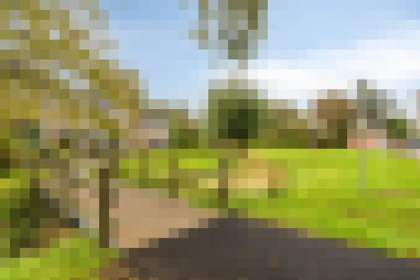 De Spinne 24 Goes thumbnail 36