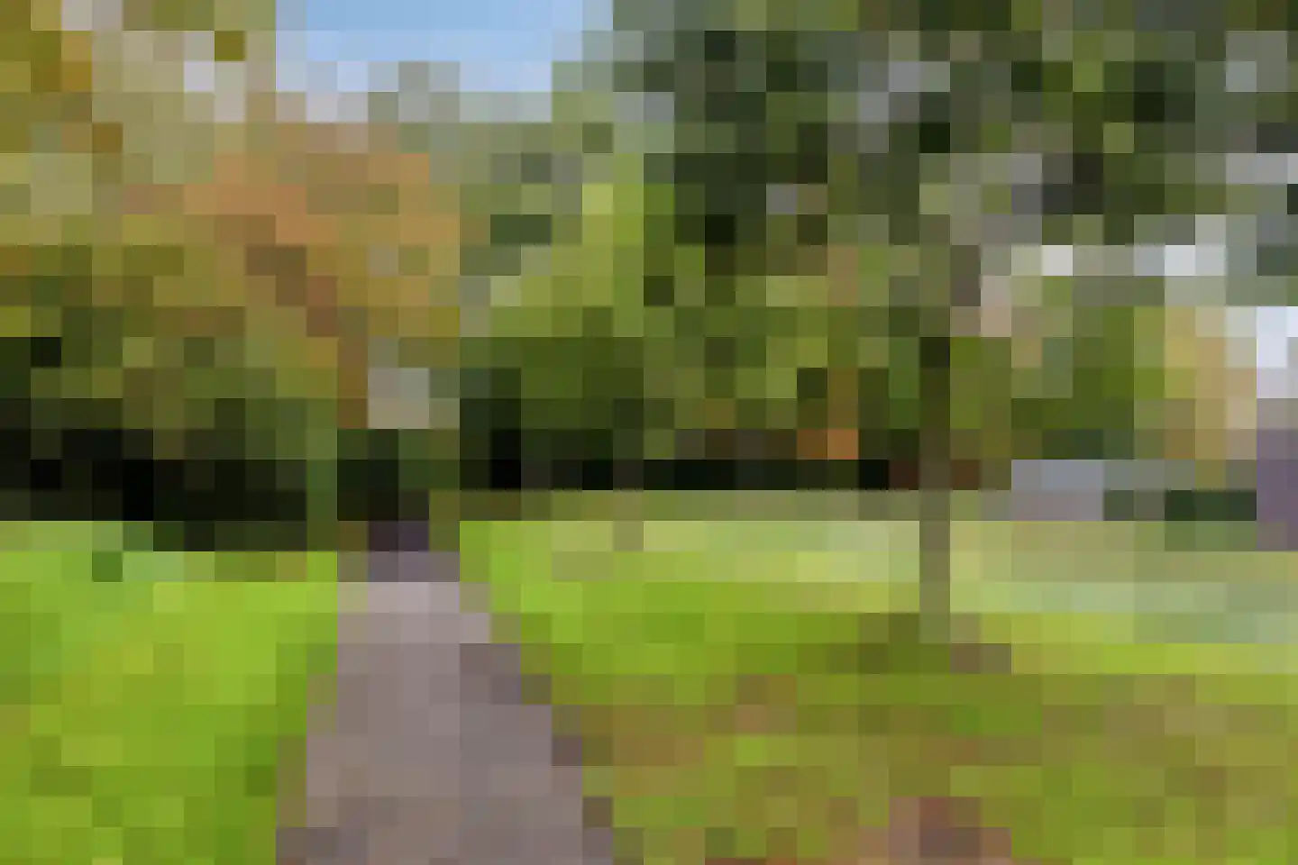 De Spinne 24 Goes thumbnail 37