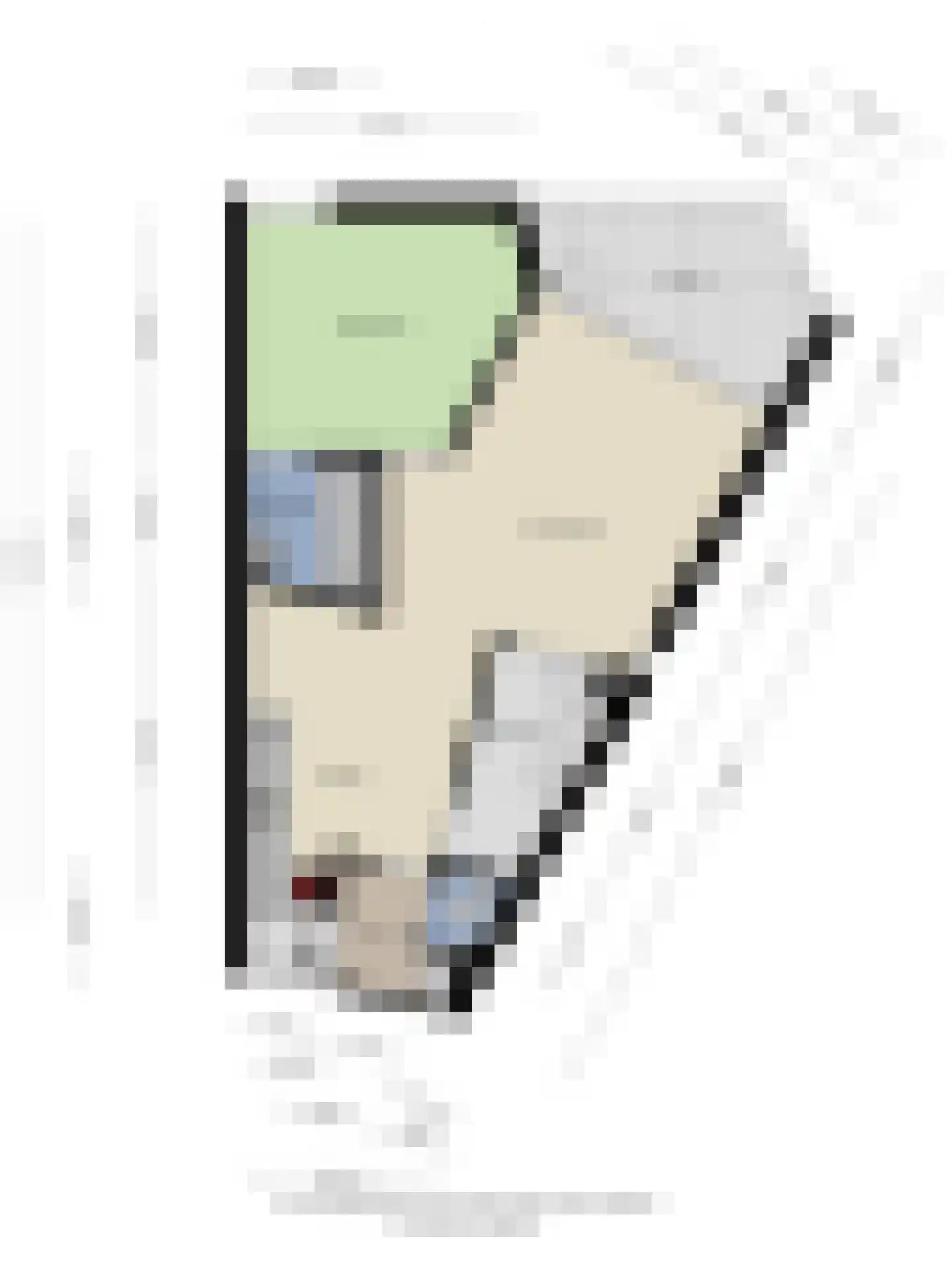 De Spinne 24 Goes thumbnail 38