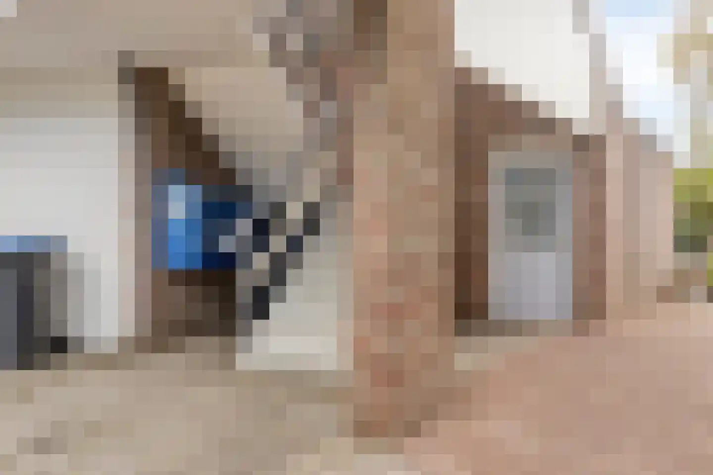 De Spinne 24 Goes thumbnail 9