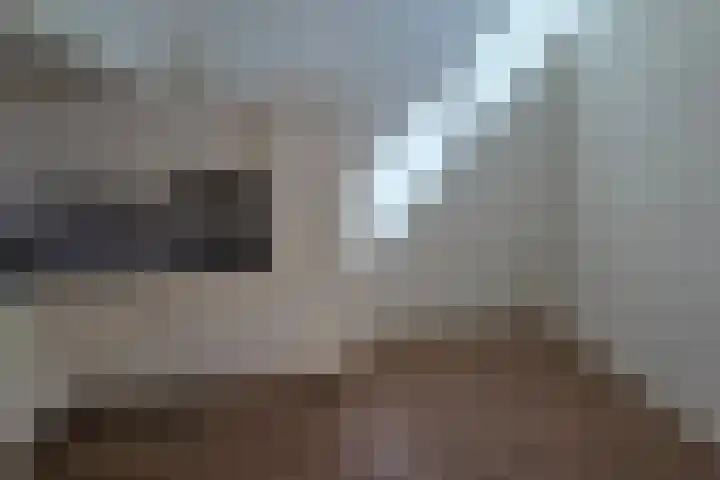 De Spinne 26 Goes thumbnail 13