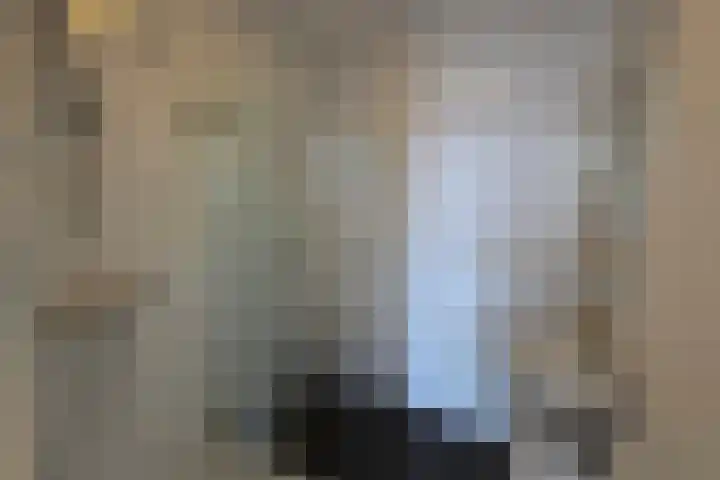De Spinne 26 Goes thumbnail 17