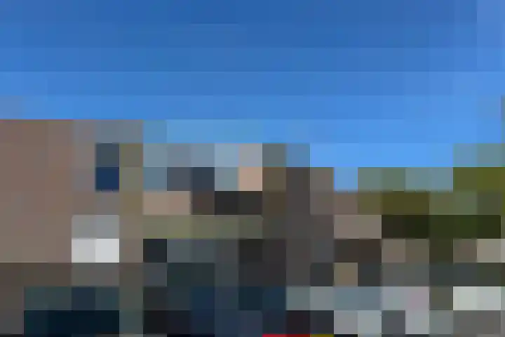 De Spinne 26 Goes foto 2