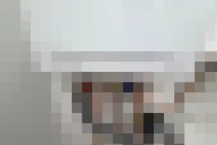 De Spinne 26 Goes thumbnail 20