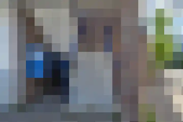 De Spinne 26 Goes thumbnail 4